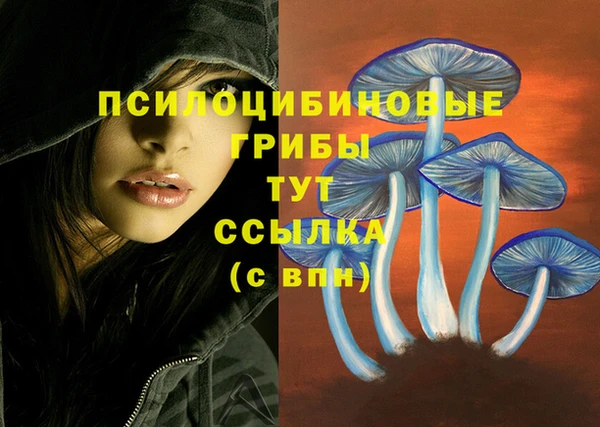 MESCALINE Белоозёрский