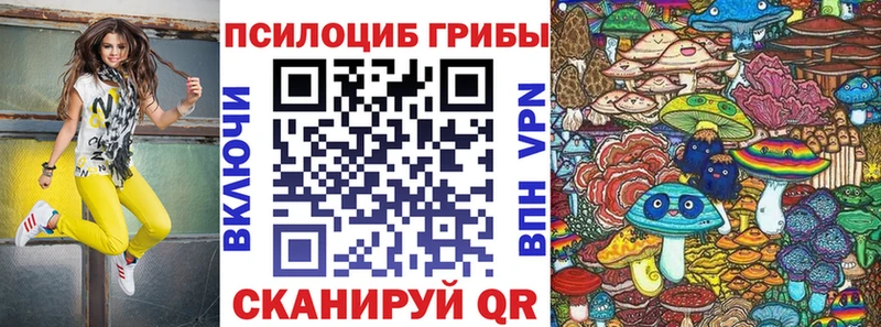 как найти наркотики  Нестеров  Псилоцибиновые грибы GOLDEN TEACHER 